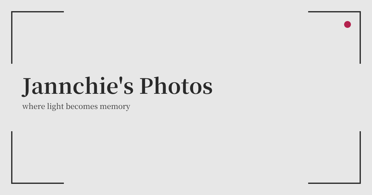 photos.jannchie.com image